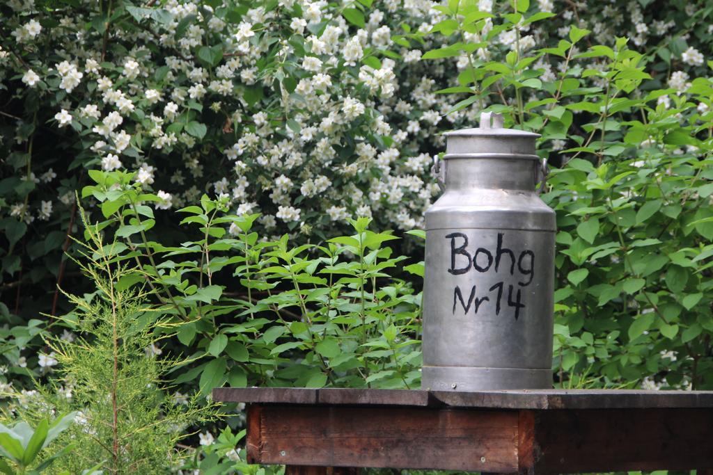 Appartement Bohg Burg (Spreewald)